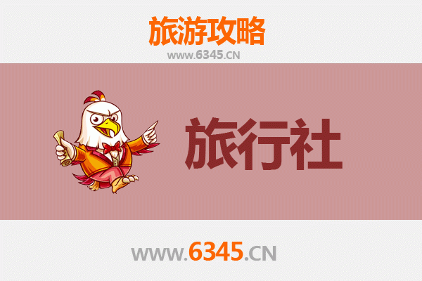 阿拉善额济纳旅行社推荐：探索胡杨林与沙漠奇观的完美指南