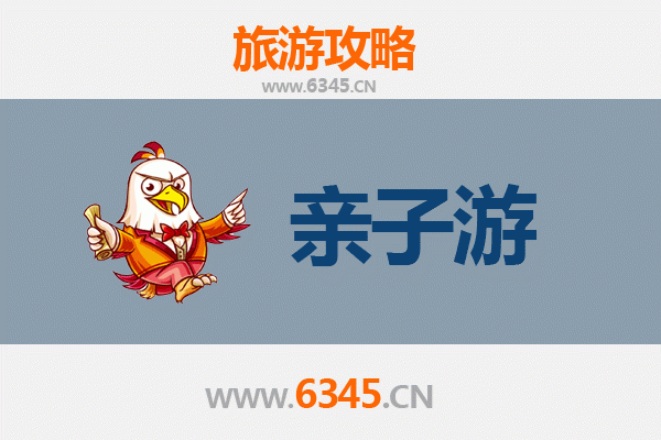 阿拉善额济纳亲子游攻略：探索金色胡杨与沙漠奇趣